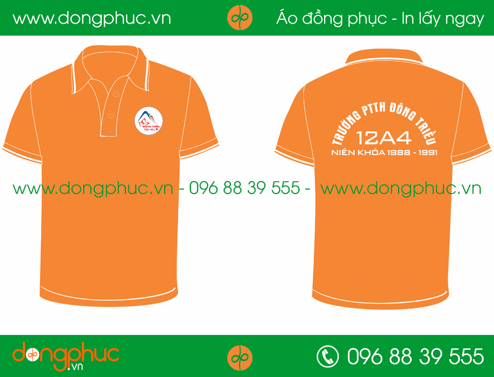 Áo phông đồng phục Lớp 12A4